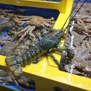 바른중식지행점 | 마포 농수산물시장 맛집 소현수산 마포 농수산물시장 대게 포장 후기