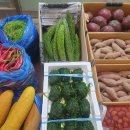 도매상회 이미지