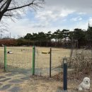 메르벨르리조트 이미지