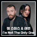 샘 스미스 &amp; 태연 : Sam Smith, TAEYEON - I'm Not The Only One 이미지