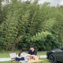 와룡지구 이미지