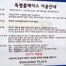 댕댕카페 이미지