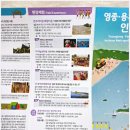[포내마을]바다낚시 네이버블로그