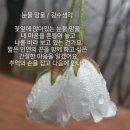 쿵더쿵