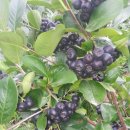 노두농장 이미지