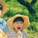 차농장 이미지