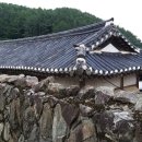 용문산 은행나무길(물소리길 6코스) 이미지