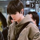 트라이플 이미지