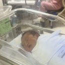 안암2 | 고대안암병원 제왕절개 출산, 입원 후기 #2