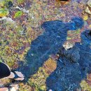 삼다미가 이미지