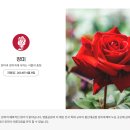 세븐일레븐 울산염포현대점 | 산업의 심장이자 선사의 숨결을 품은 도시, 울산(蔚山) 이름의 유래와 역사