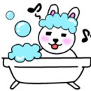 럭셔리무인텔 이미지