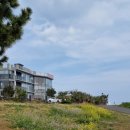 골든아워제주 이미지