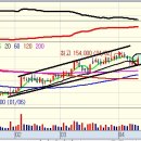 와이지리테일 이미지