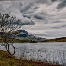 양지실버홈 이미지