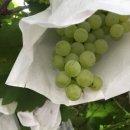 순성농장 이미지