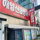 해양곰장어 이미지