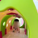 소고펜션 | 경주 카카키즈풀빌라팬션 내돈내산 솔직후기