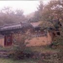 유림-1156 이미지