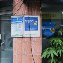 사라헤어라인