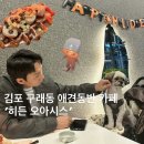 깡철이네 | 김포 구래동 애견동반 디저트카페 크로플 맛집 히든오아시스 분좋카 방문 후기