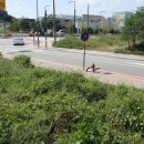 세종이음학교 앞 이미지