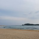 블루참치 네이버블로그