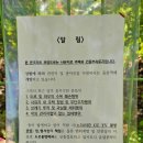 중2리 이미지