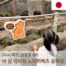 보쿠굿즈 | 여기, 삿포로] 노보리베츠 곰 목장 (のぼりべつ クマ牧場) - 귀여운 쿠마굿즈들이 매력적이었던 베어파크