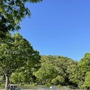 합천체육관 실내수영장 이미지