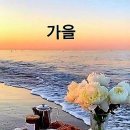 파코