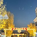 창동 | 마산 창동 눈꽃축제 후기 / 주차및 정보