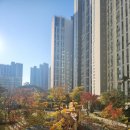 파란하늘공인중개사사무소 이미지