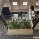 브리꼴라주 | 전주 객사 카페 브리꼴라주 조용한 분위기 추천