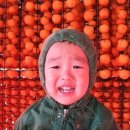 라제쉼터