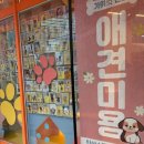 부천애견미용 멍미살롱 | 부천애견호텔 멍미텔, 안심하고 맡길 수 있는 우리 강아지 쉼터 다녀왔어요