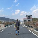 코이스테이 이미지