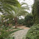 왕궁농장 | 왕궁포레스트 익산여행코스 식물원 가족여행추천