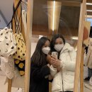 백조문구