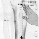꿩먹고 알먹고 뒤 이미지