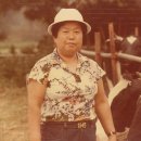 이수영농장 이미지