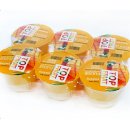 푸딩이네 이미지