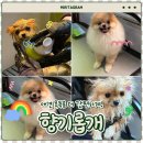 향기롭개 이미지