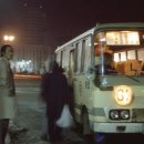 유화(야간) 이미지