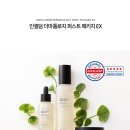 인셀덤 하늘을품다