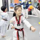 국가대표 퍼스트 태권도 이미지