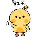 성정애견 네이버블로그