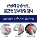 1RM플랜