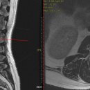 경희김세윤한의원 이미지