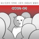 샐리케이크